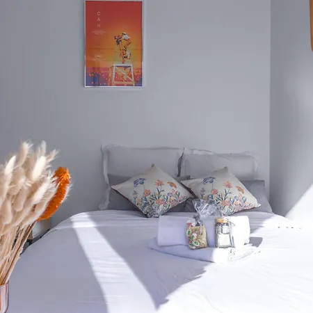 Rue Hoche By Halldis Apartman Cannes